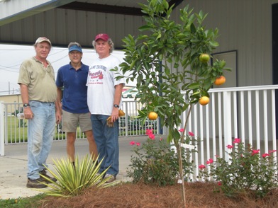 David Marshall and crew with new plantings